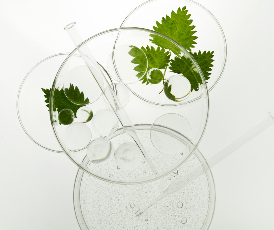Cosmética natural y nutricosmética Bess Skin Health — filosofía inside-out