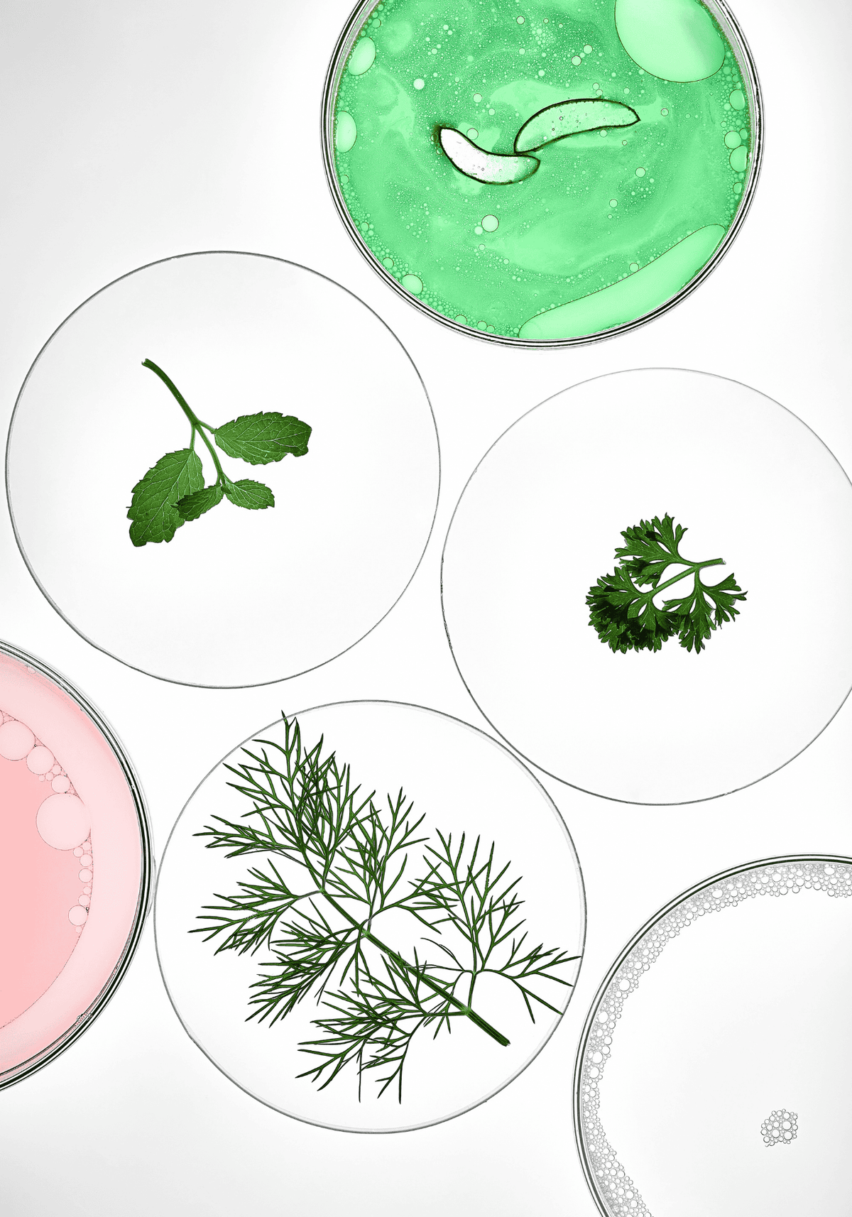 Cosmética natural y nutricosmética Bess Skin Health — filosofía inside-out